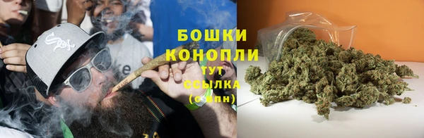 шишки Армянск