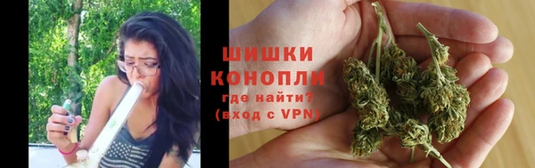 шишки Армянск