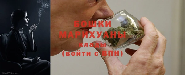 стаф Семилуки