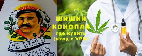 шишки Армянск