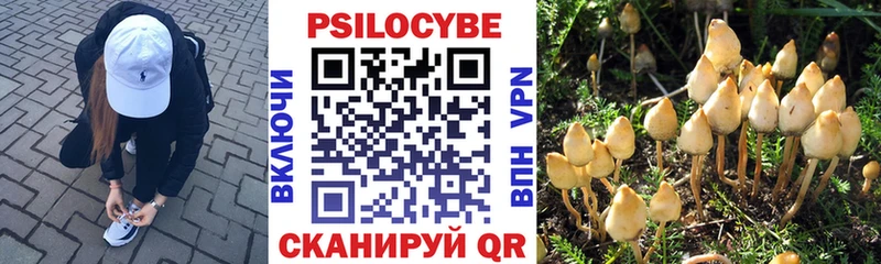 Псилоцибиновые грибы Psilocybine cubensis  продажа наркотиков  Советский 