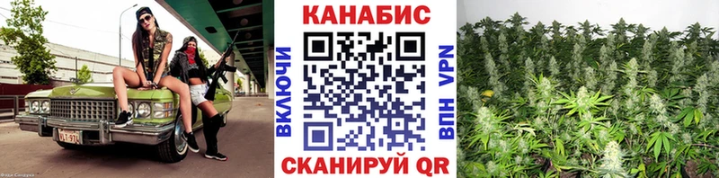Каннабис семена  Советский 